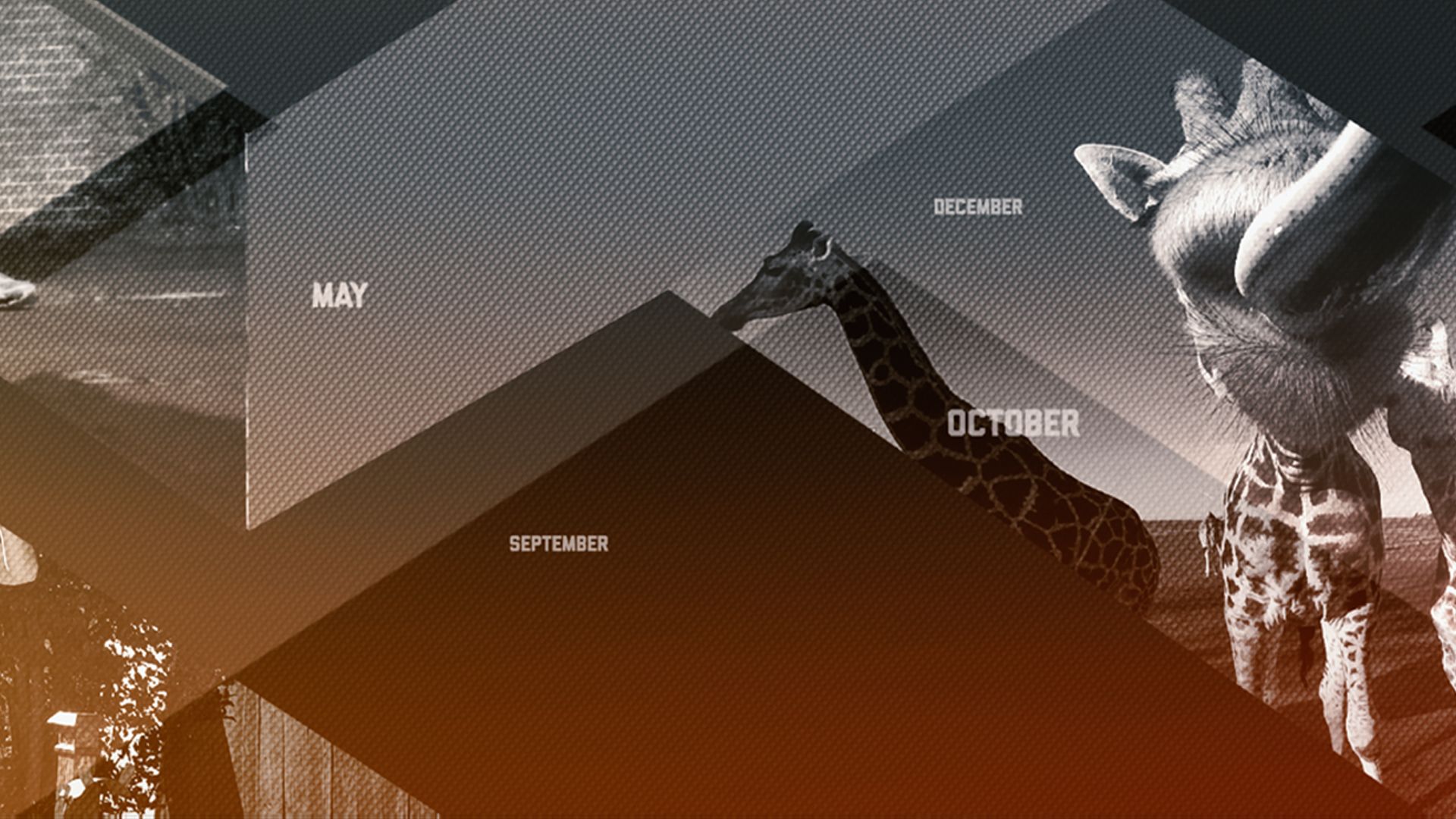 Best Fails of the Month