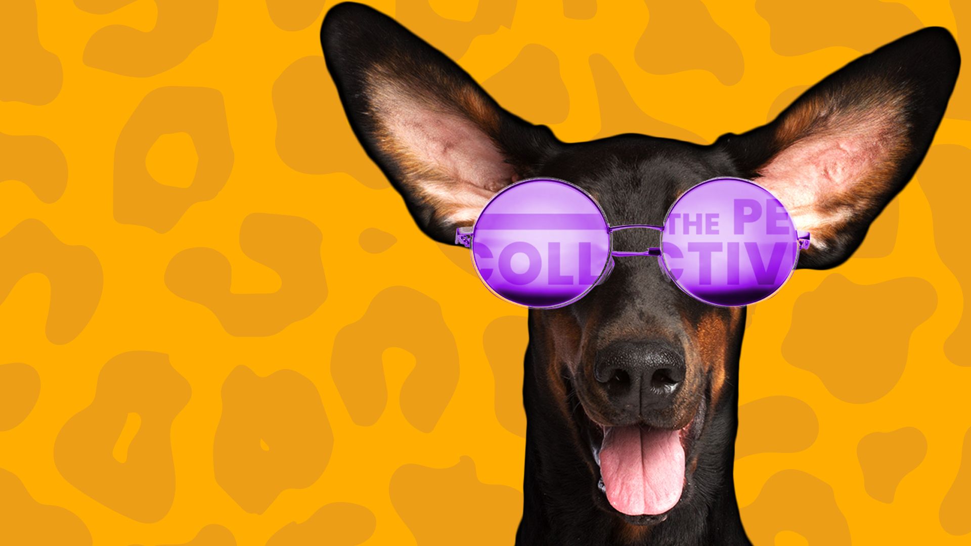 Best Pets Of The Week