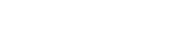 Virtual Bundesliga