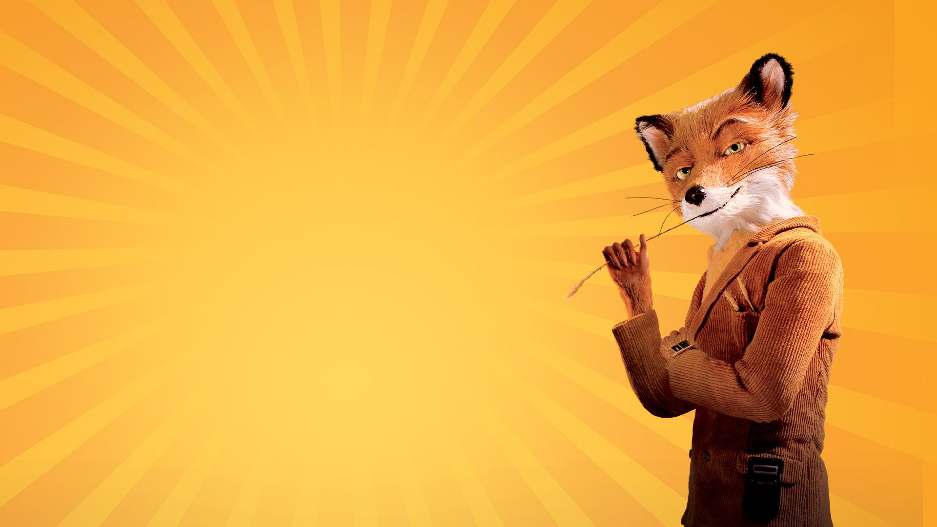 Der fantastische Mr. Fox Titelbild