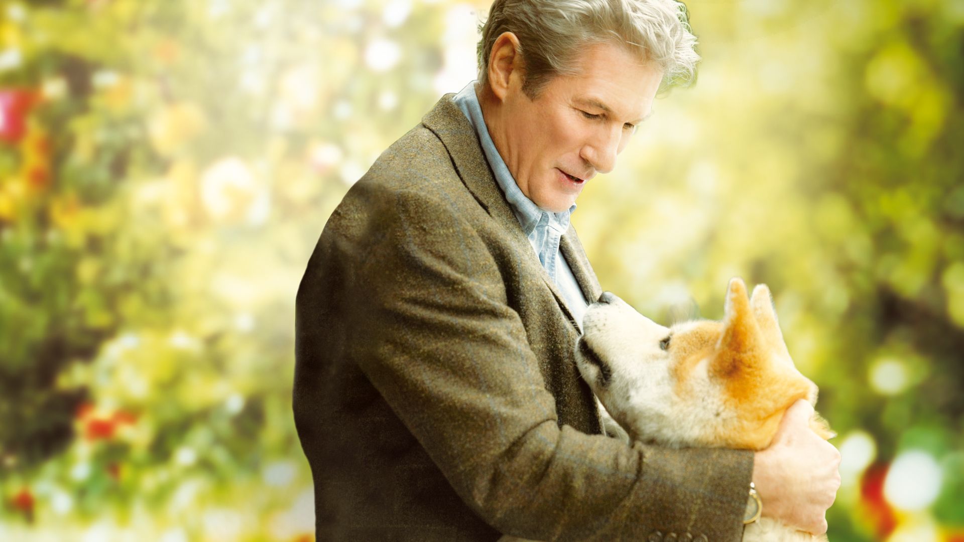 Hachiko eine wunderbare freundschaft stream - Der absolute TOP-Favorit der Redaktion