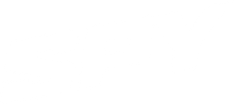 Spy - Susan Cooper Undercover