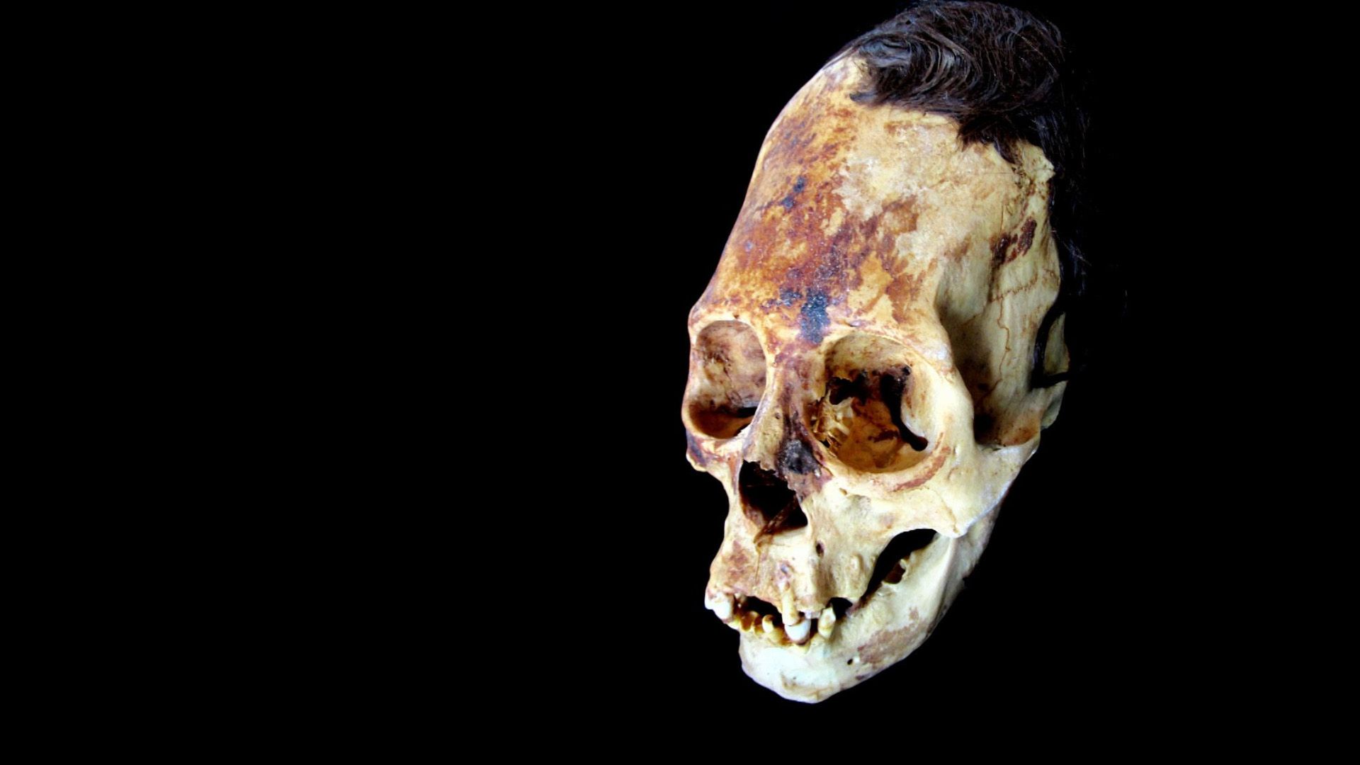 Ancient Aliens - Unerklärliche Phänomene