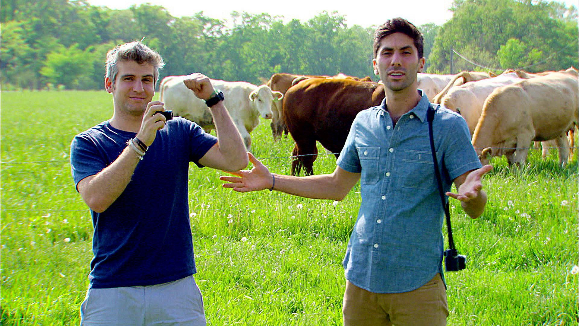 Catfish total - die Highlights der zweiten Staffel