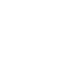 Der schnelle Euro