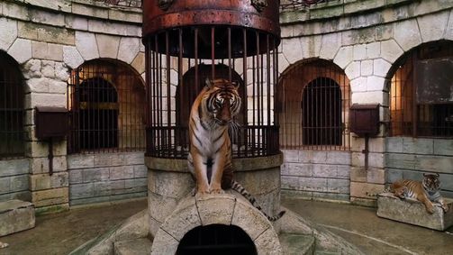 Fort Boyard Staffel 2018 Folge 2: Folge 2