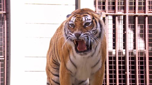 Fort Boyard Staffel 2018 Folge 3: Folge 3