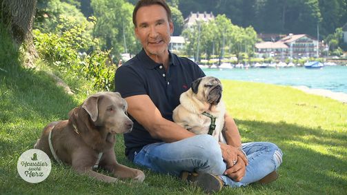 Haustier sucht Herz Staffel 3 Folge 10: Folge 10