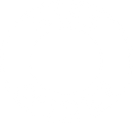Miss Spider