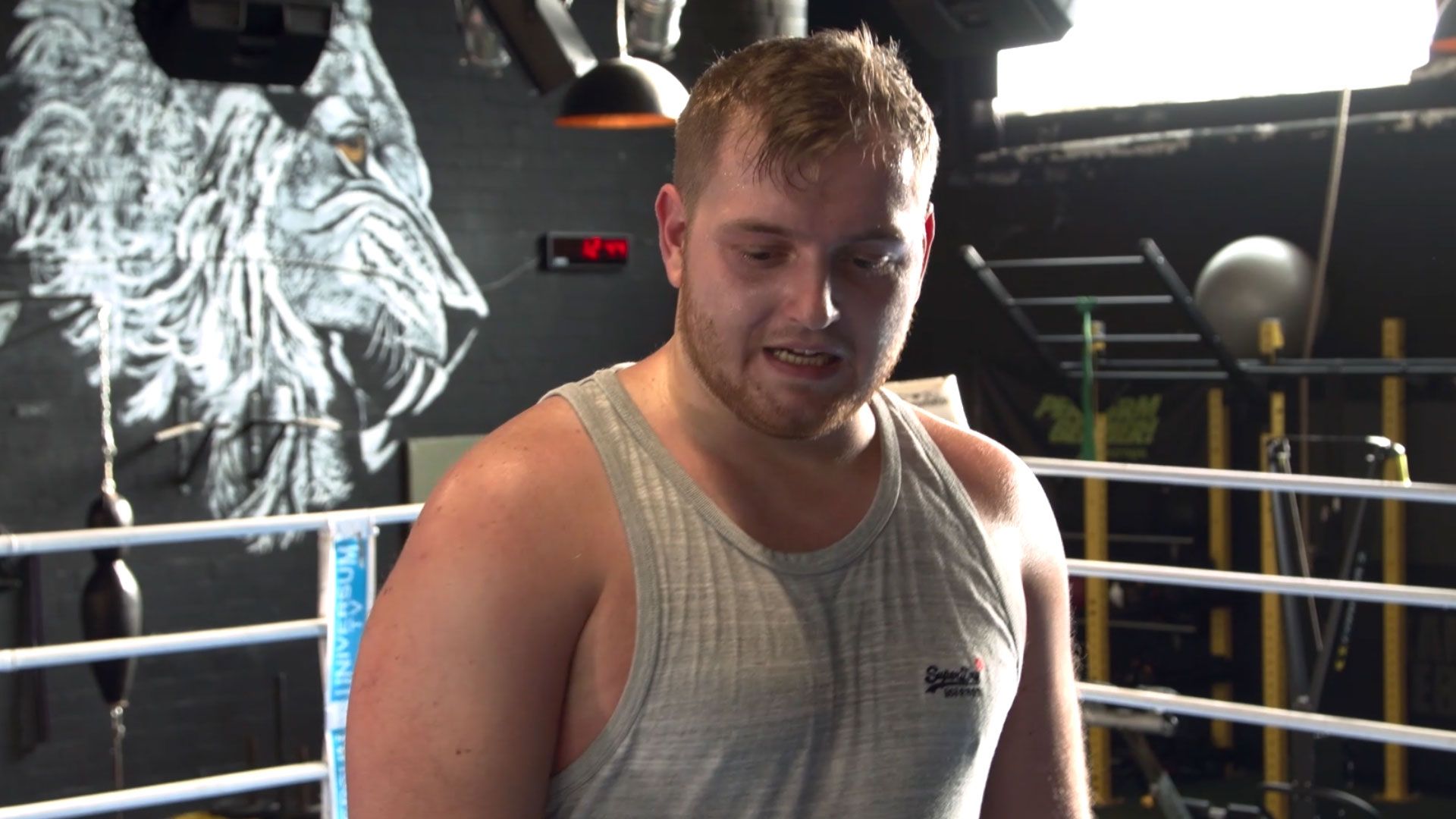 Road to the Great Fight Night: Trymacs Training im Ring