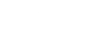 Vikings