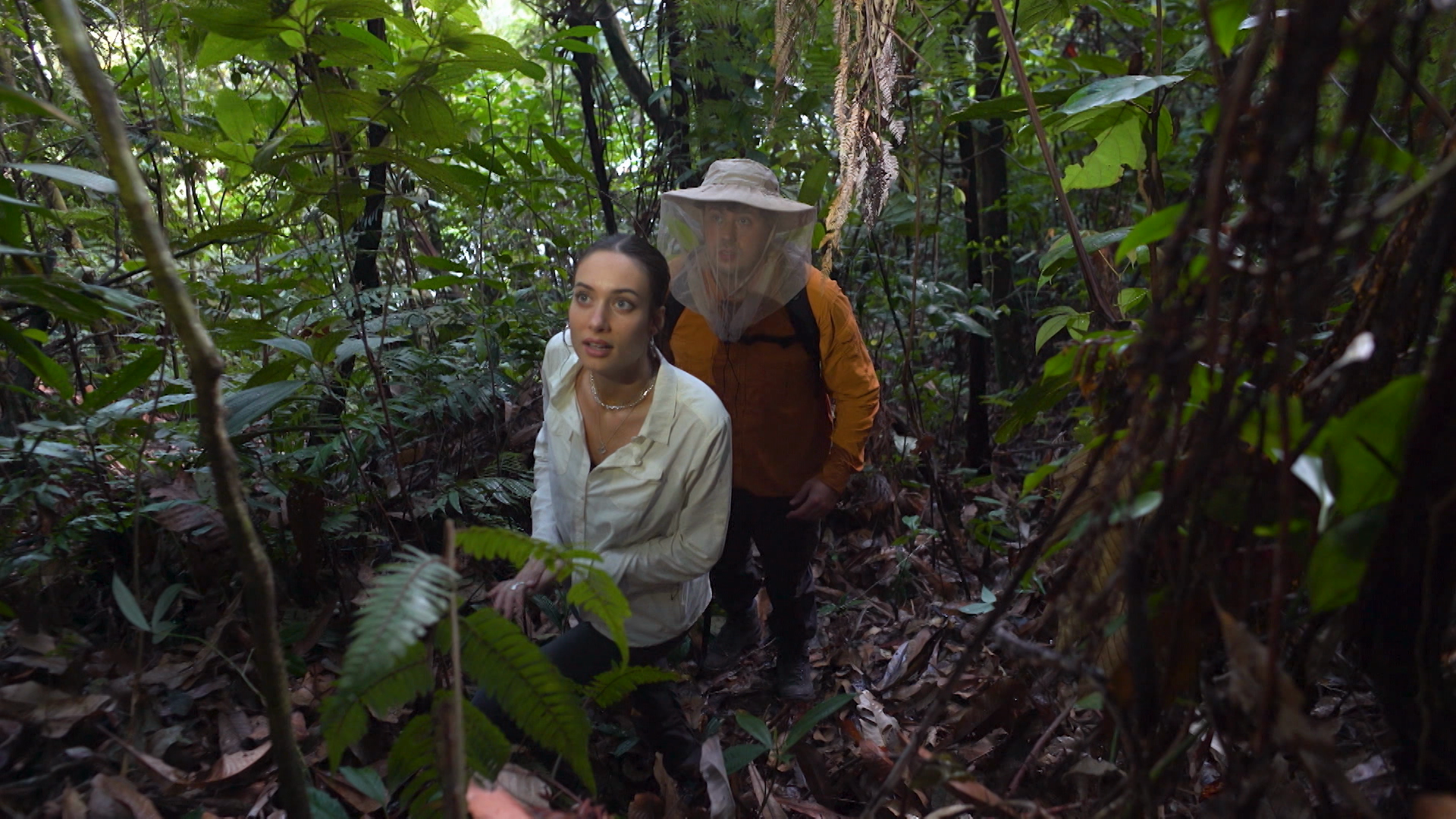 Willkommen im Dschungel!