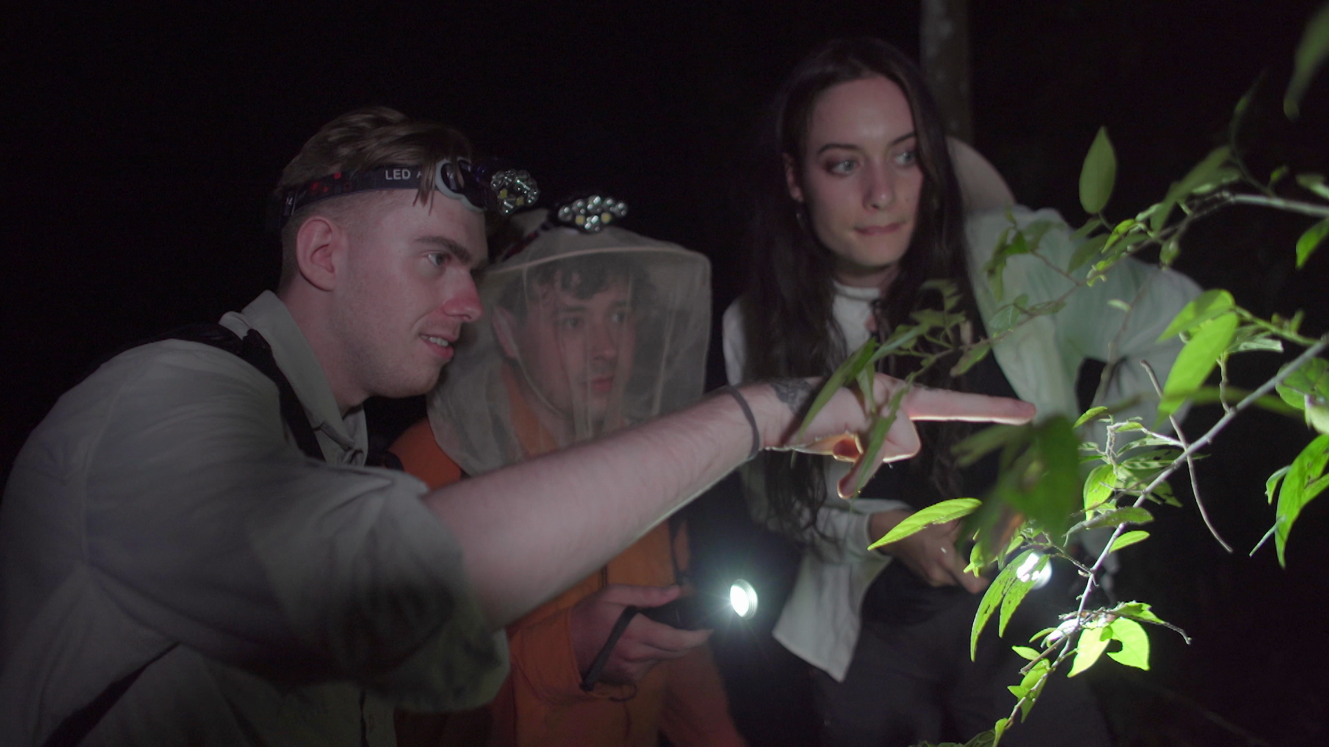 Die Insektenjäger: Kayla’s Fund - Eine giftige Raupe