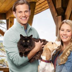 Zwei wie Hund und Katz'
