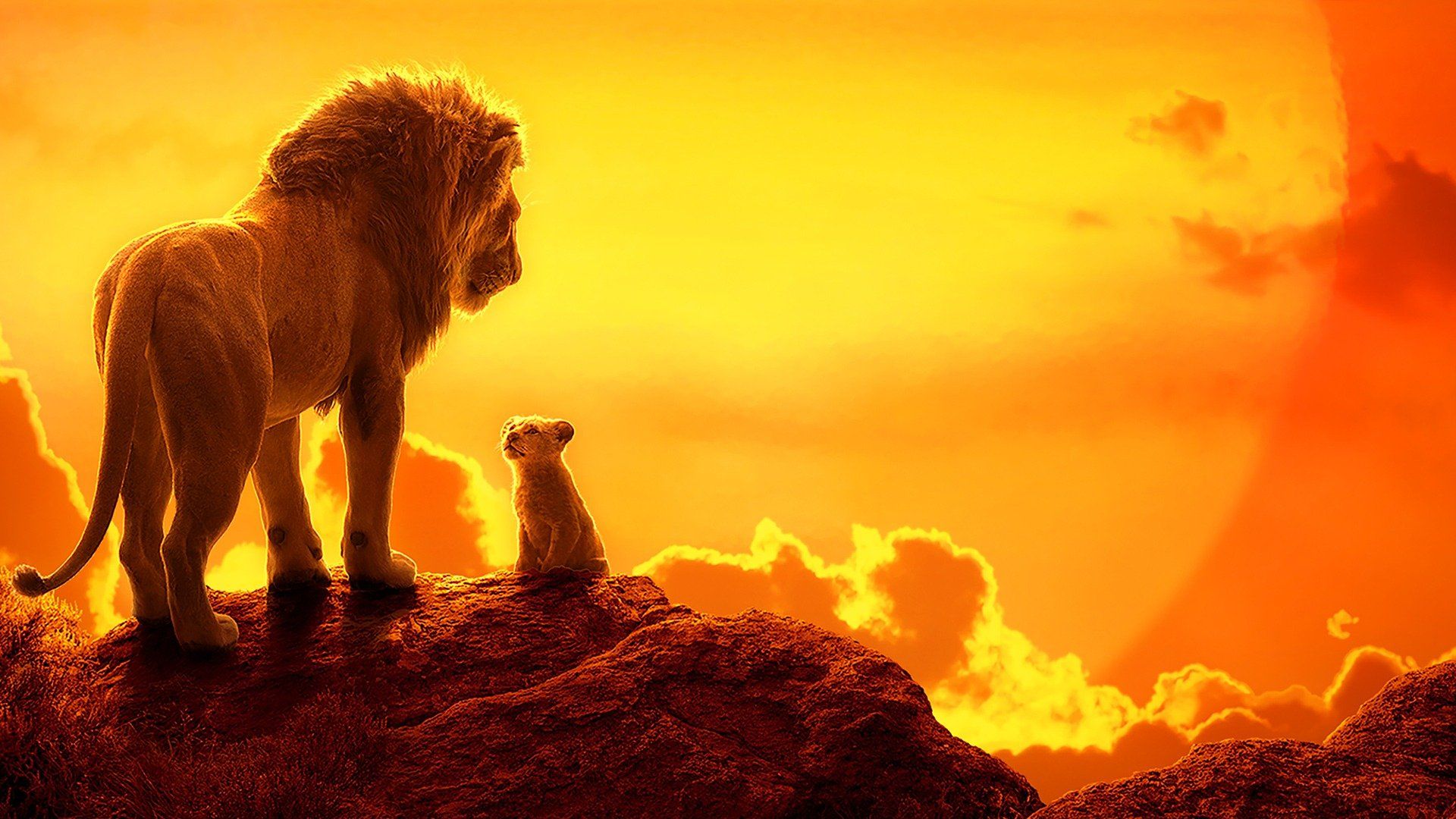 Der König der Löwen