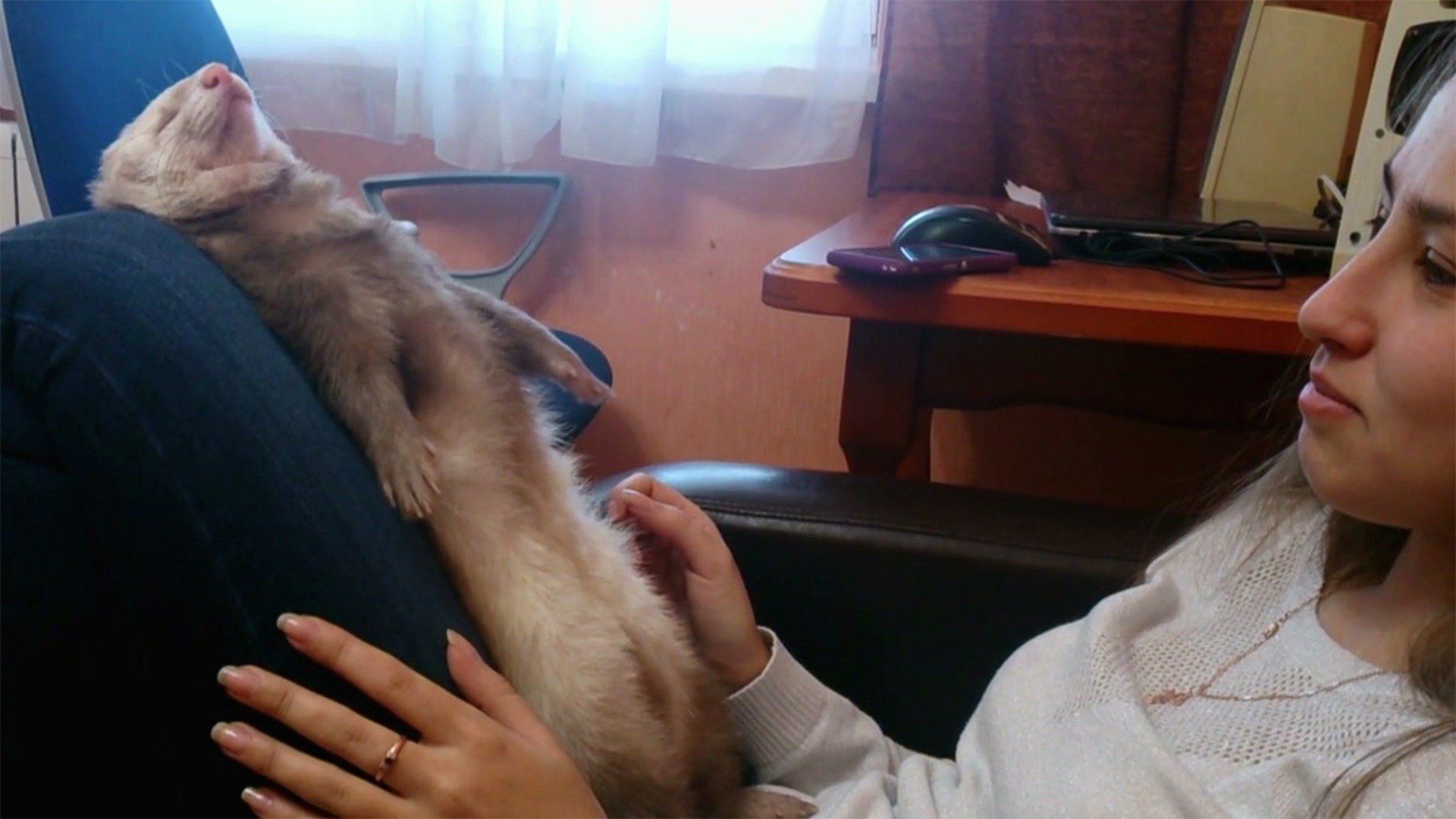 Die verrücktesten Spielereien