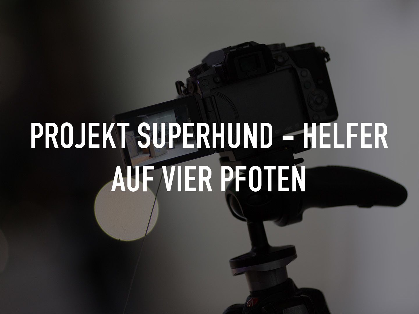 Projekt Superhund - Helfer auf vier Pfoten