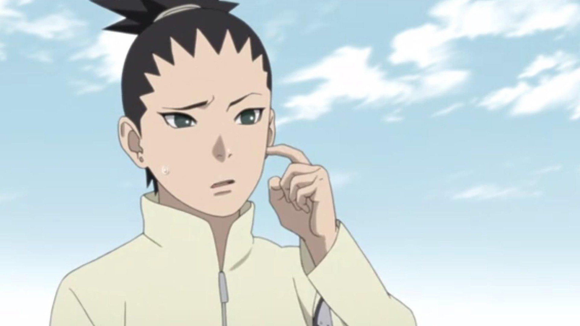 Shikadais Entscheidung