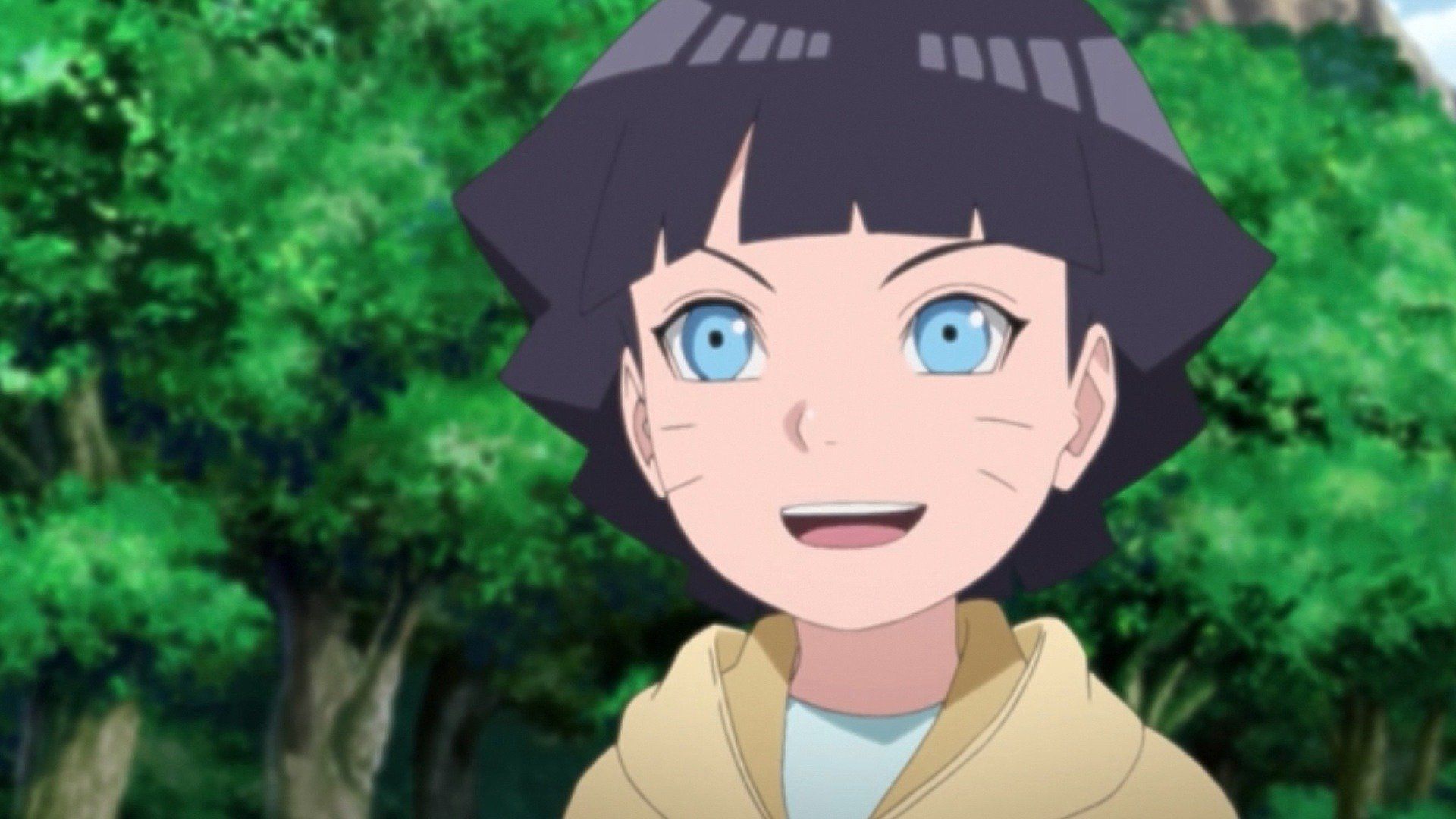 Himawaris Ninja-Praxis