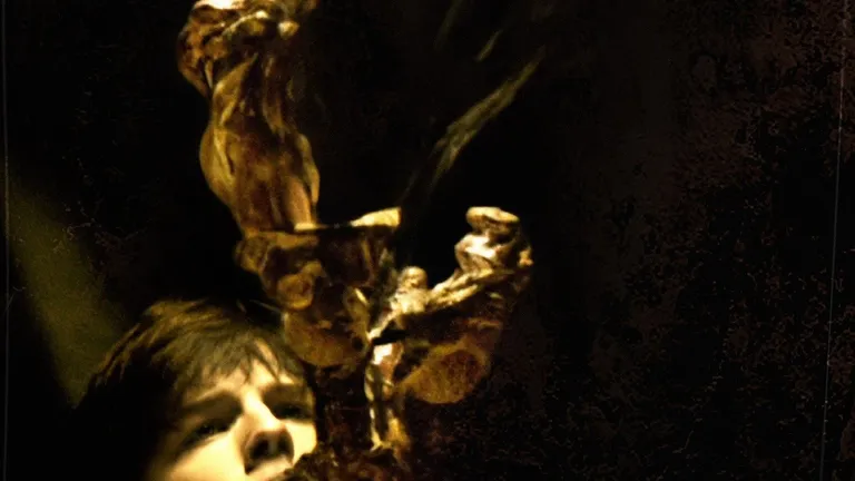 Video Hintergrund