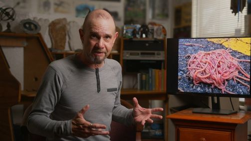 Auf den Spuren des Unerklärlichen - The Proof is Out There Auf den Spuren des Unerklärlichen - The Proof is Out There Folge 26: Monster im Baum
