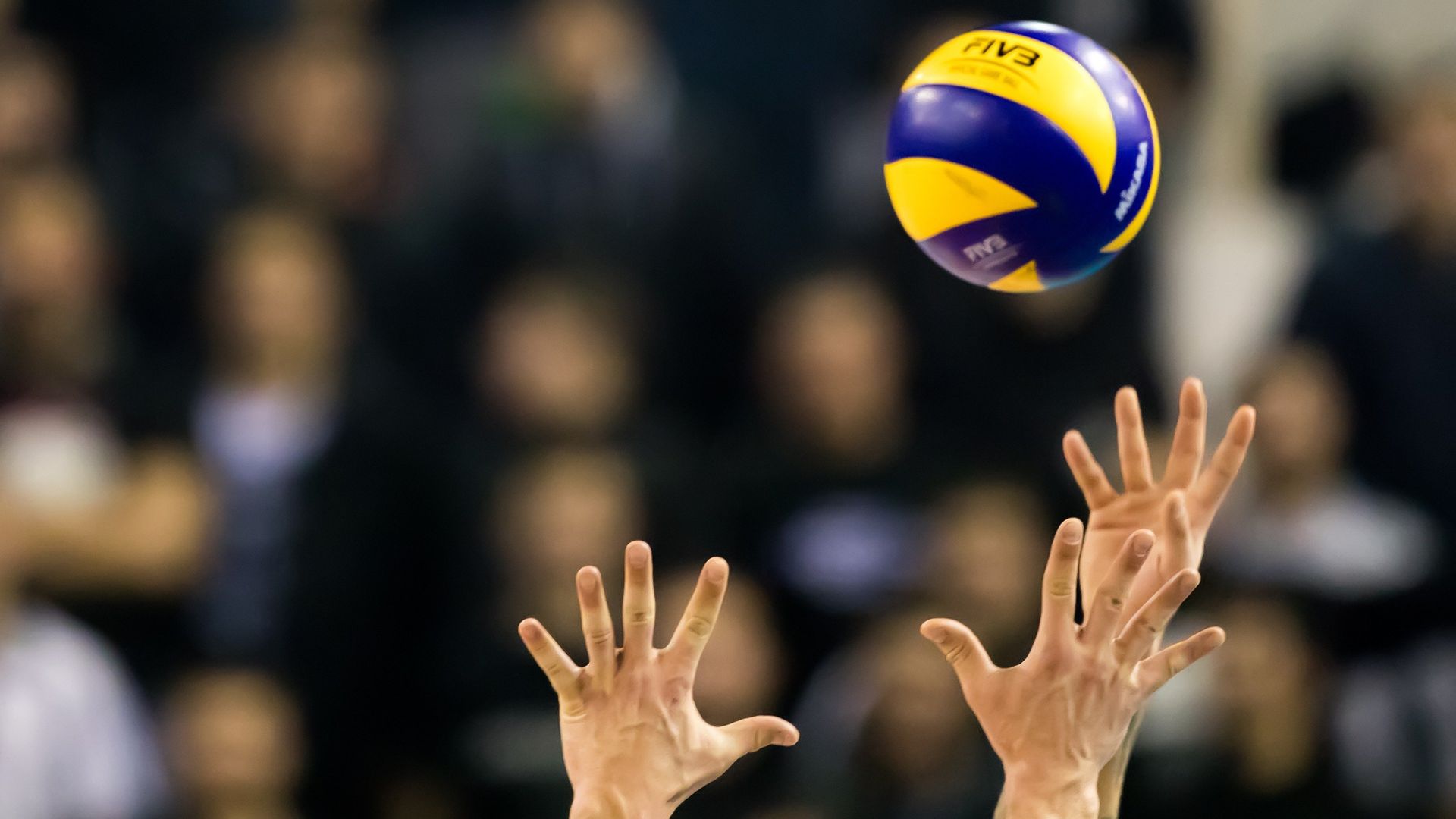 Ganze Folgen von Volleyball Bundesliga kostenlos streamen Joyn