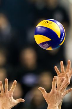 Volleyball Bundesliga