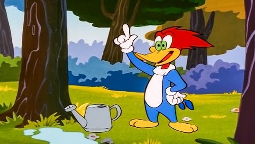 Woody Woodpecker Woody Woodpecker Staffel 1 Folge 1: Würstelstand / Die Heizdecke / Woody und die Termite