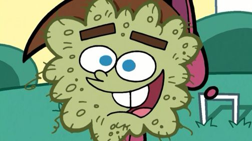 Cosmo und Wanda Cosmo und Wanda Staffel 5 Folge 9: Katzenjammer / Der Geburtstagswunsch
