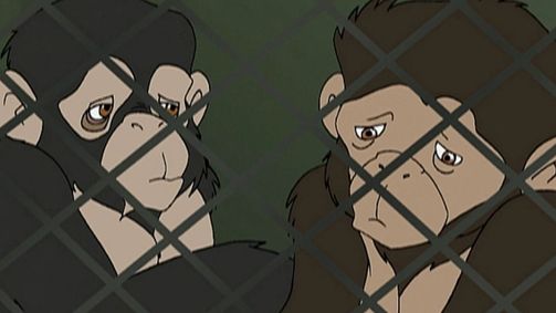 Alles Klar, Sharon Spitz? Alles Klar, Sharon Spitz? Staffel 4 Folge 8: Tierquäler