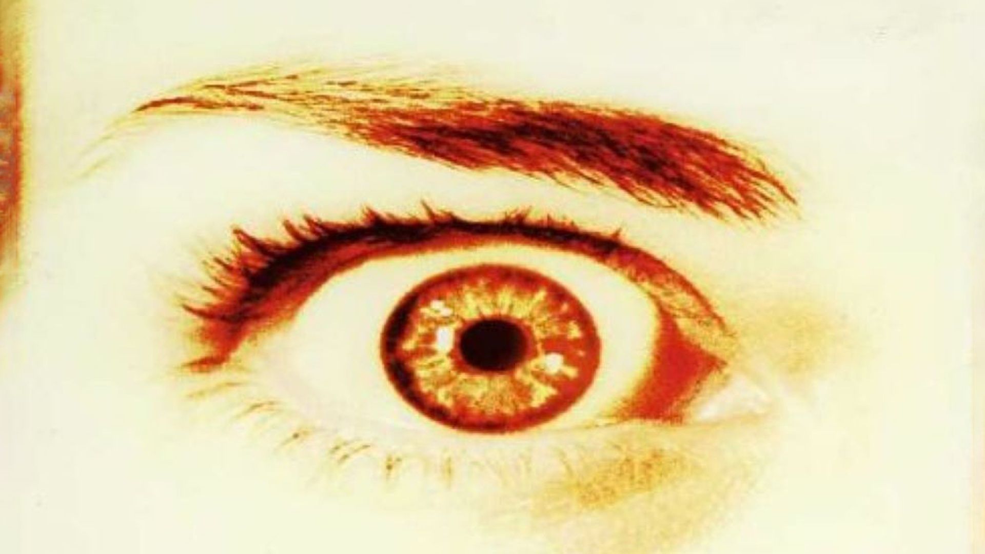 Blinder Terror