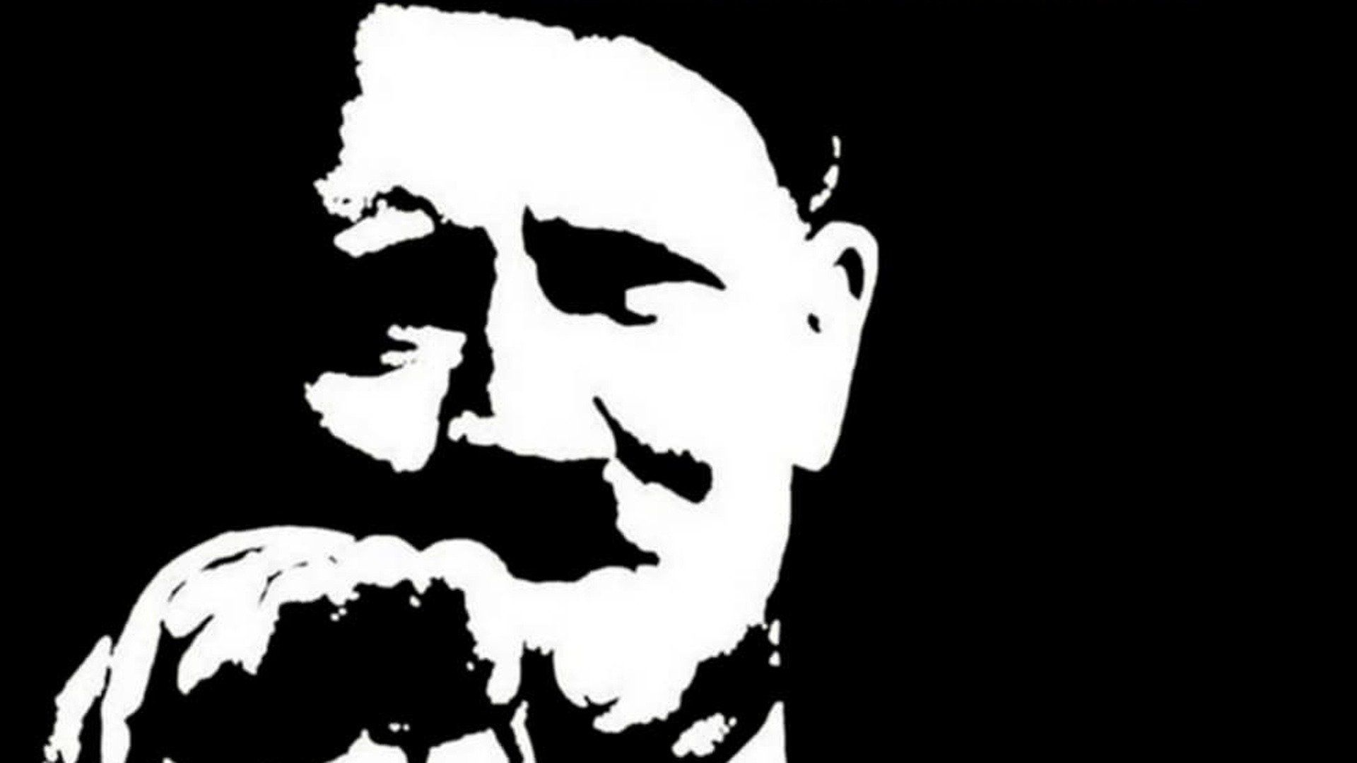 Hitler - Eine Karriere
