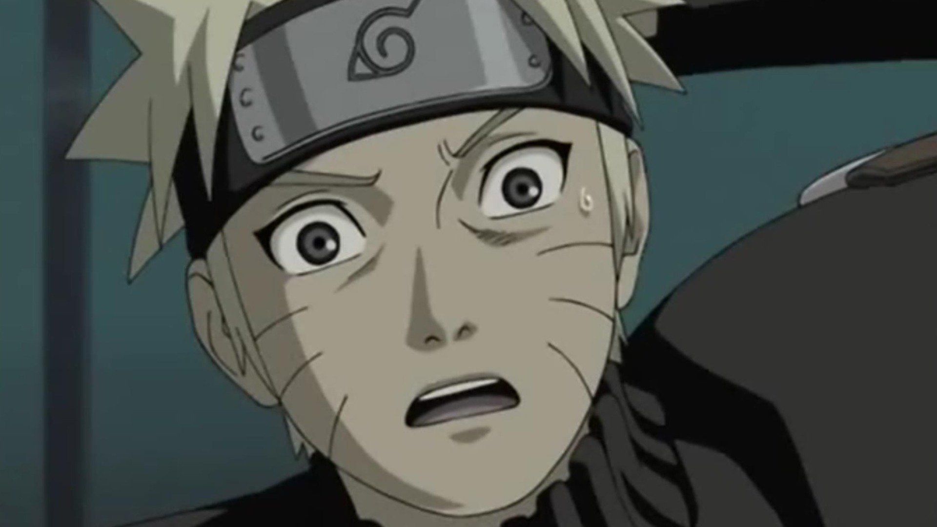 Ein Ort, an den man immer zurückkehren kann