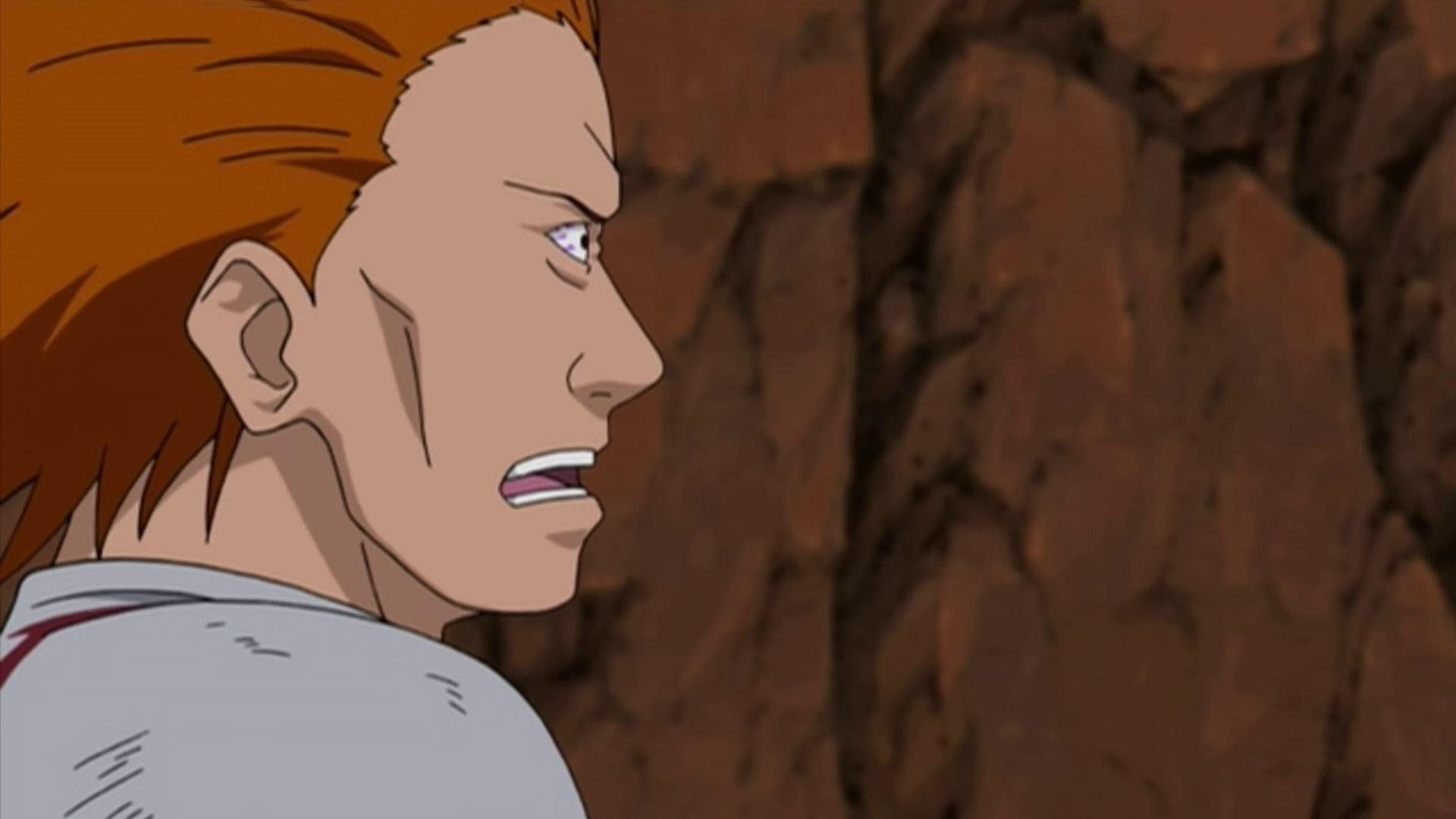 Das nördliche Versteck