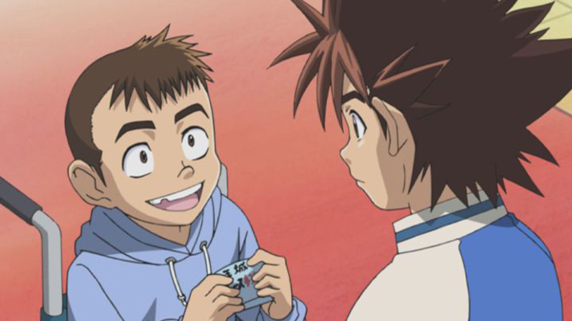 Im Schatten eines Asses