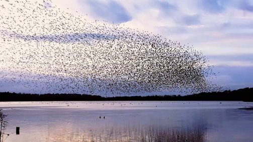 Der wilde Osten Der wilde Osten Folge 11: Invasion