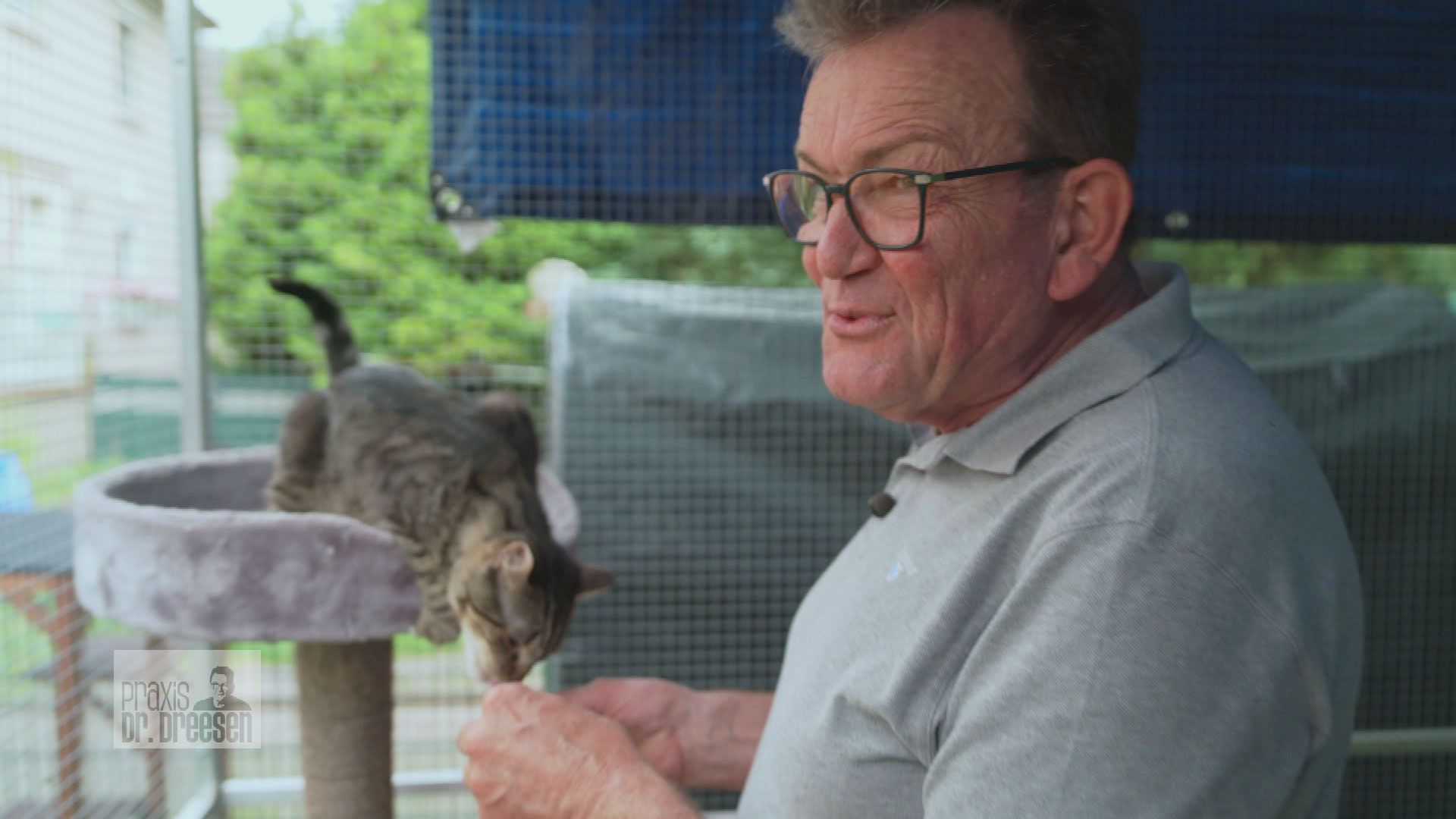 Dr. Dreesen im Einsatz zum Wohle der Straßenkatzen