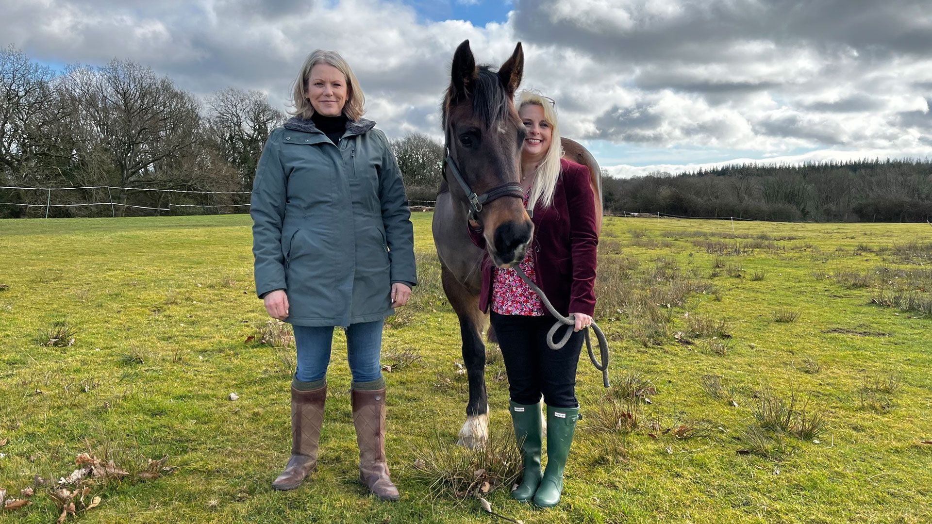 Schiefer Gesagt für eine schlaue Stute