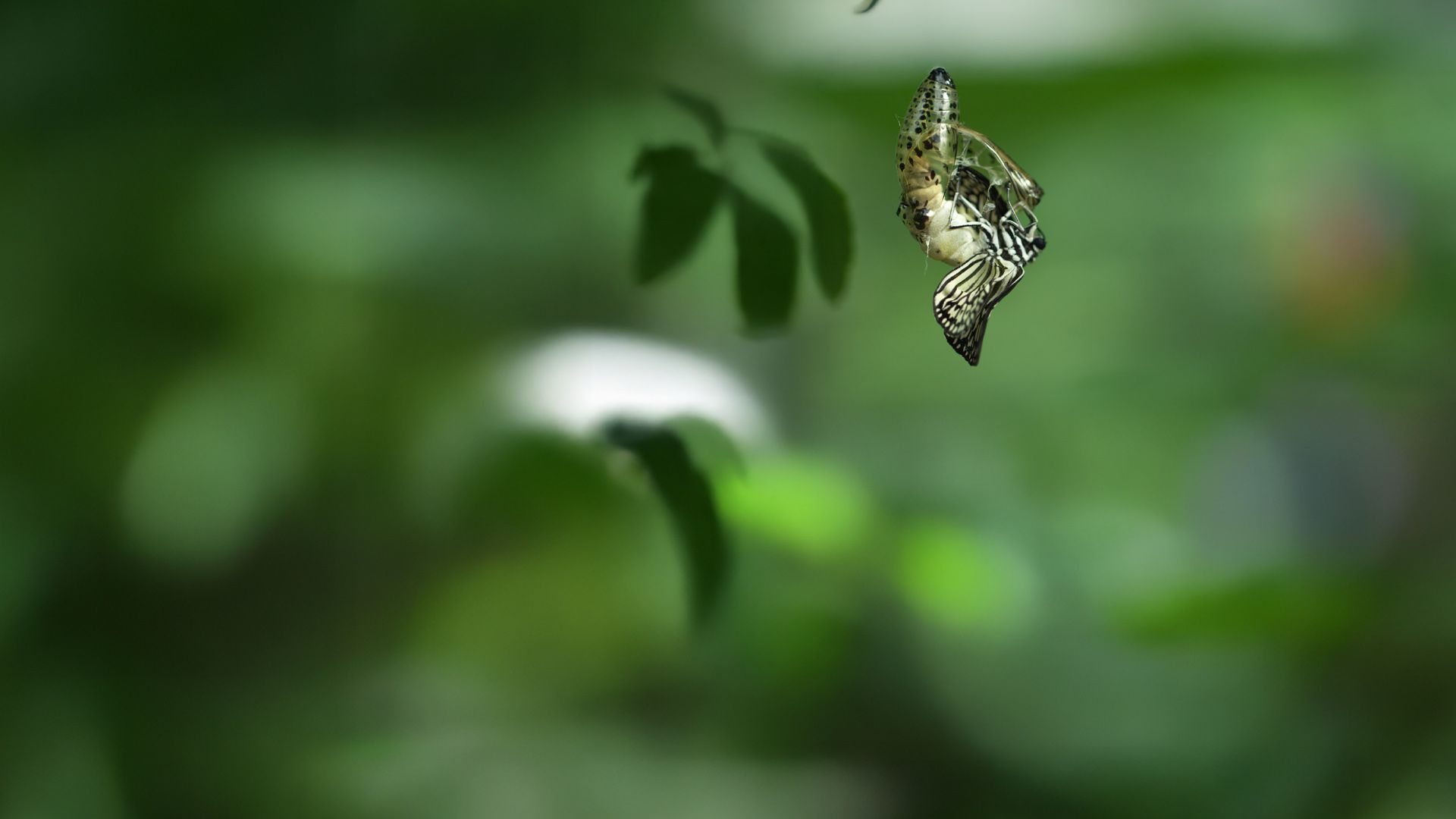 Angriff und Verteidigung