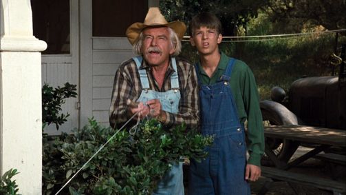 Die Waltons WALTONS, DIE - 06 Folge 1: Der Habicht