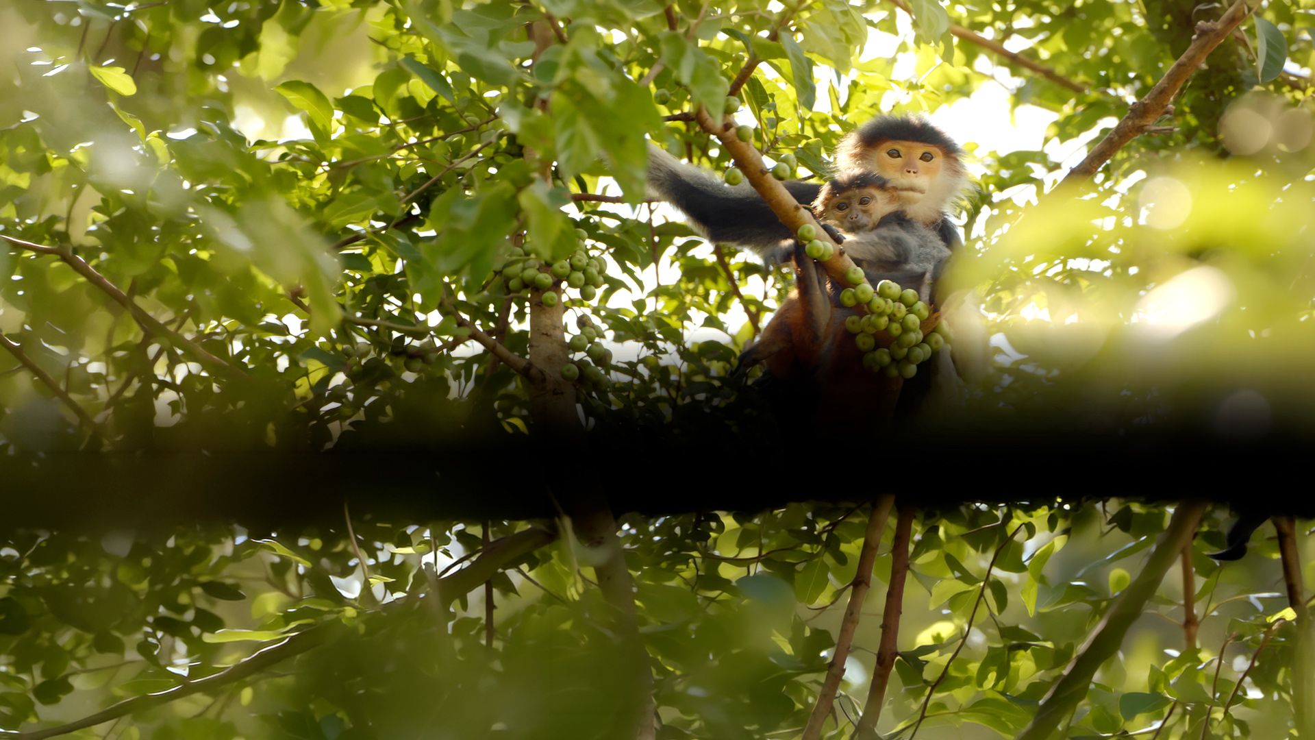 Der Mekong und seine Geheimnisse