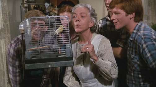Die Waltons WALTONS, DIE - 07 Folge 7: Der Maler aus Paris