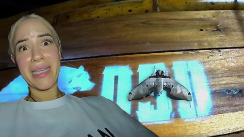 Reality Backpackers Reality Backpackers Folge 3: Abenteuer oder Albtraum? Die erste Nacht in der Wildnis!