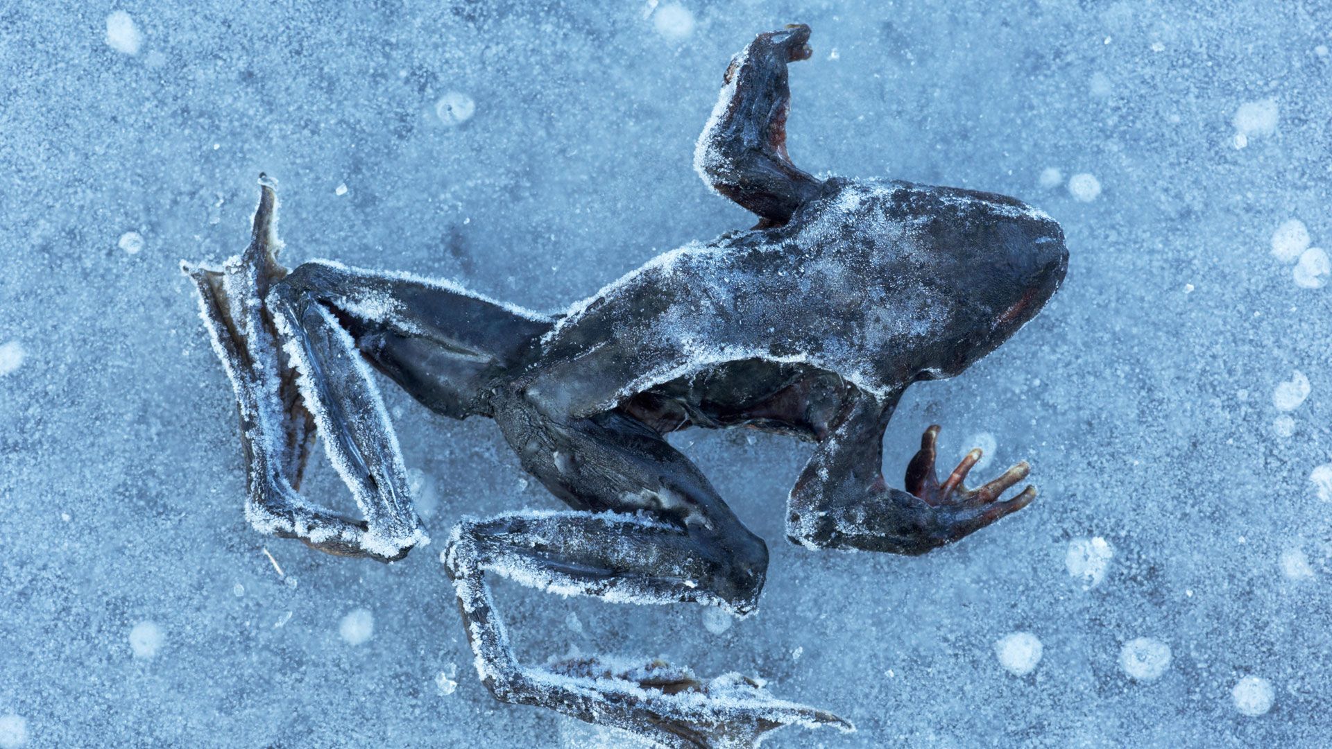 Insel mit dunkler Vergangenheit