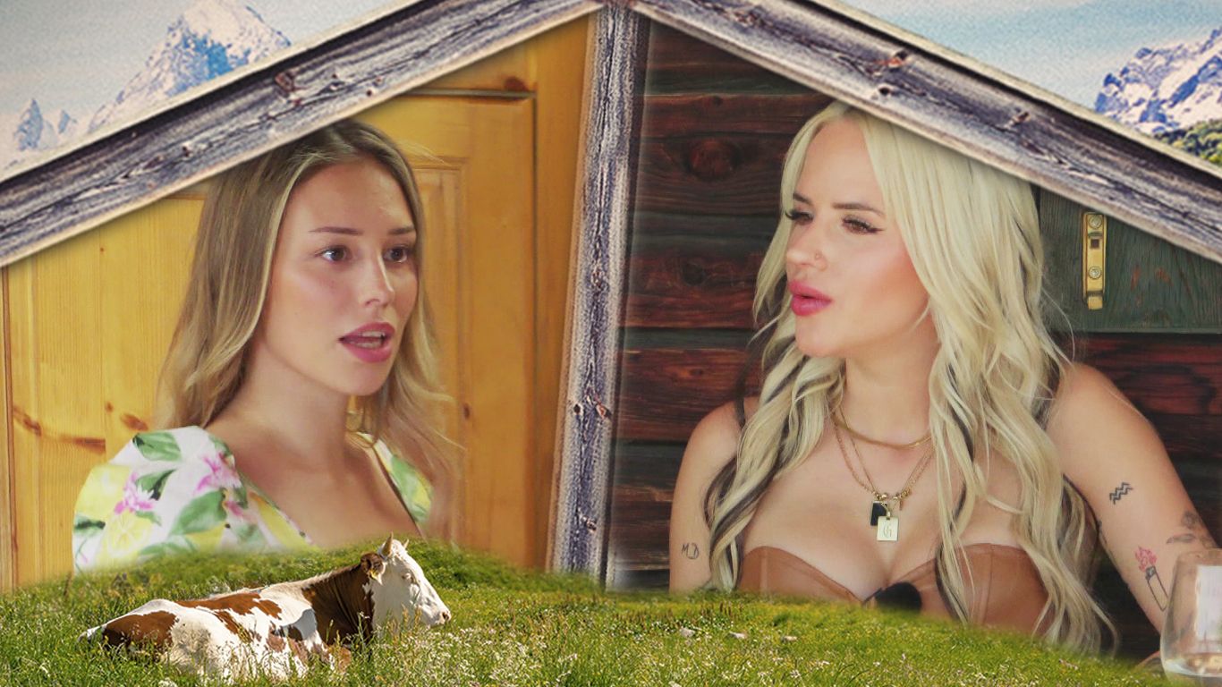 Freund oder Feind im Forsthaus Rampensau?