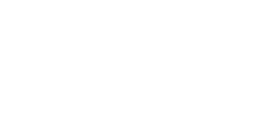 The Voice: Comeback Stage by SEAT