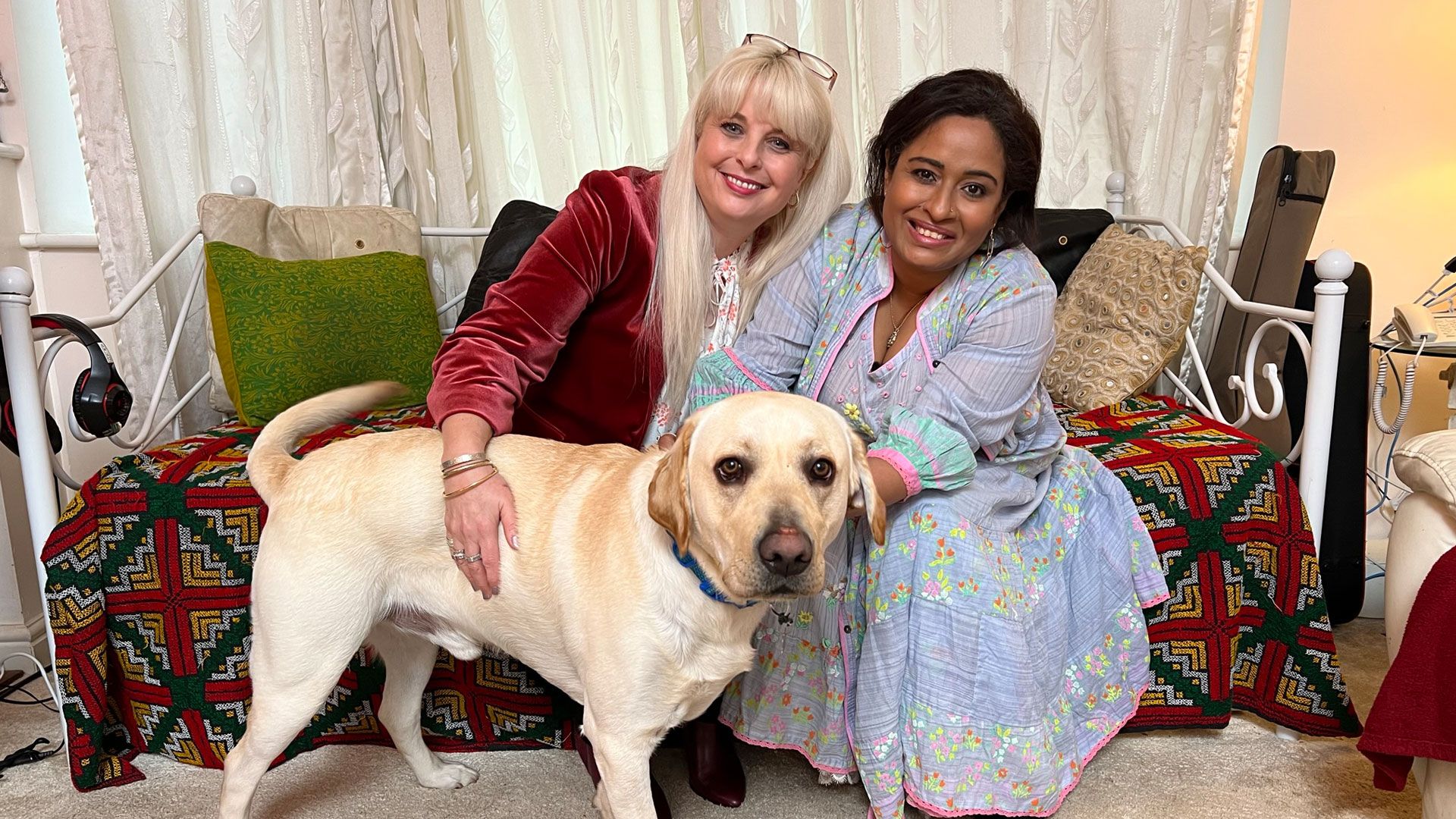 Kummervolle Kamele, hellsehende Hunde und ein kranken Kätzchen