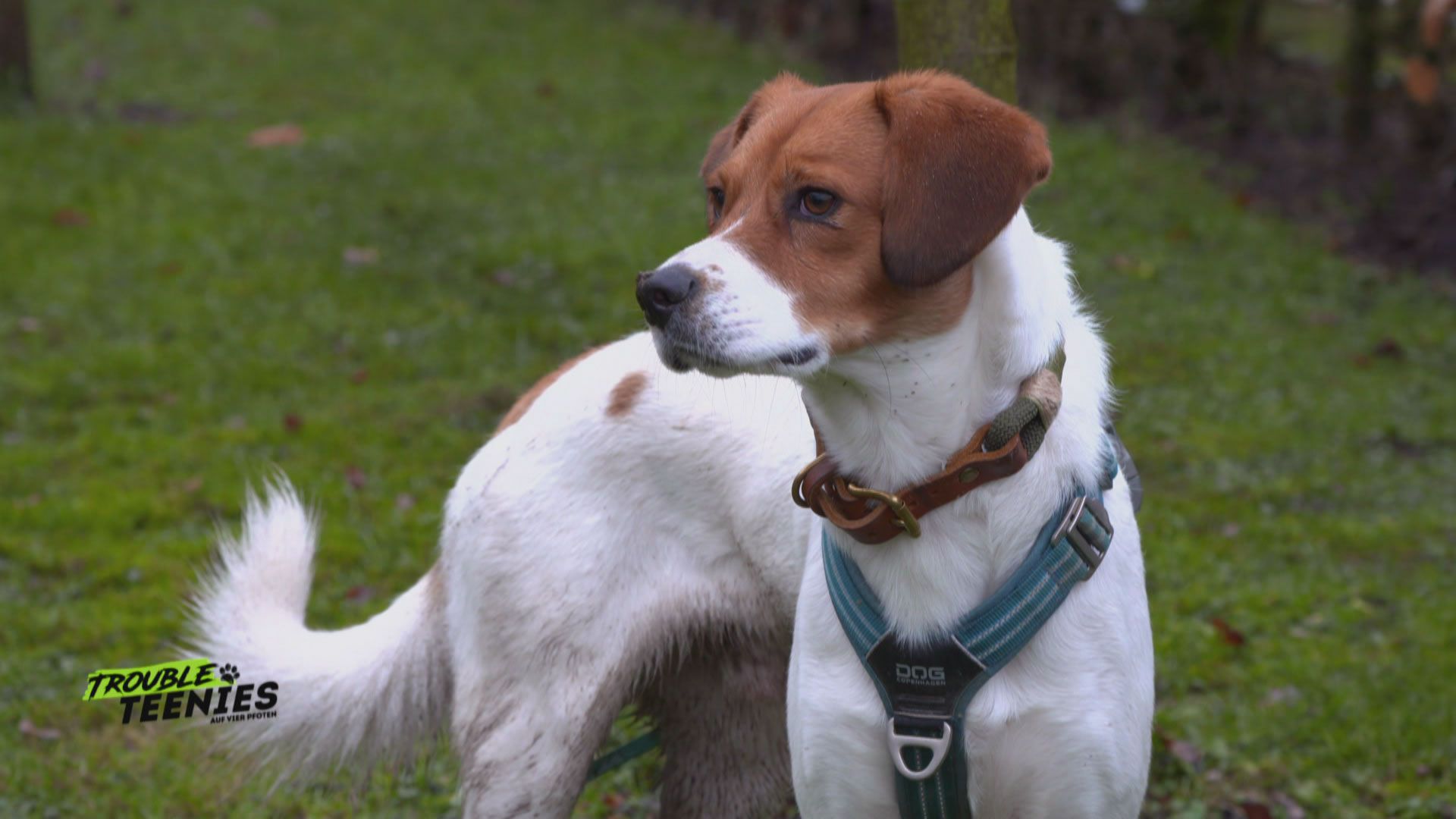 Besuch vom Schnüffel-Experten
