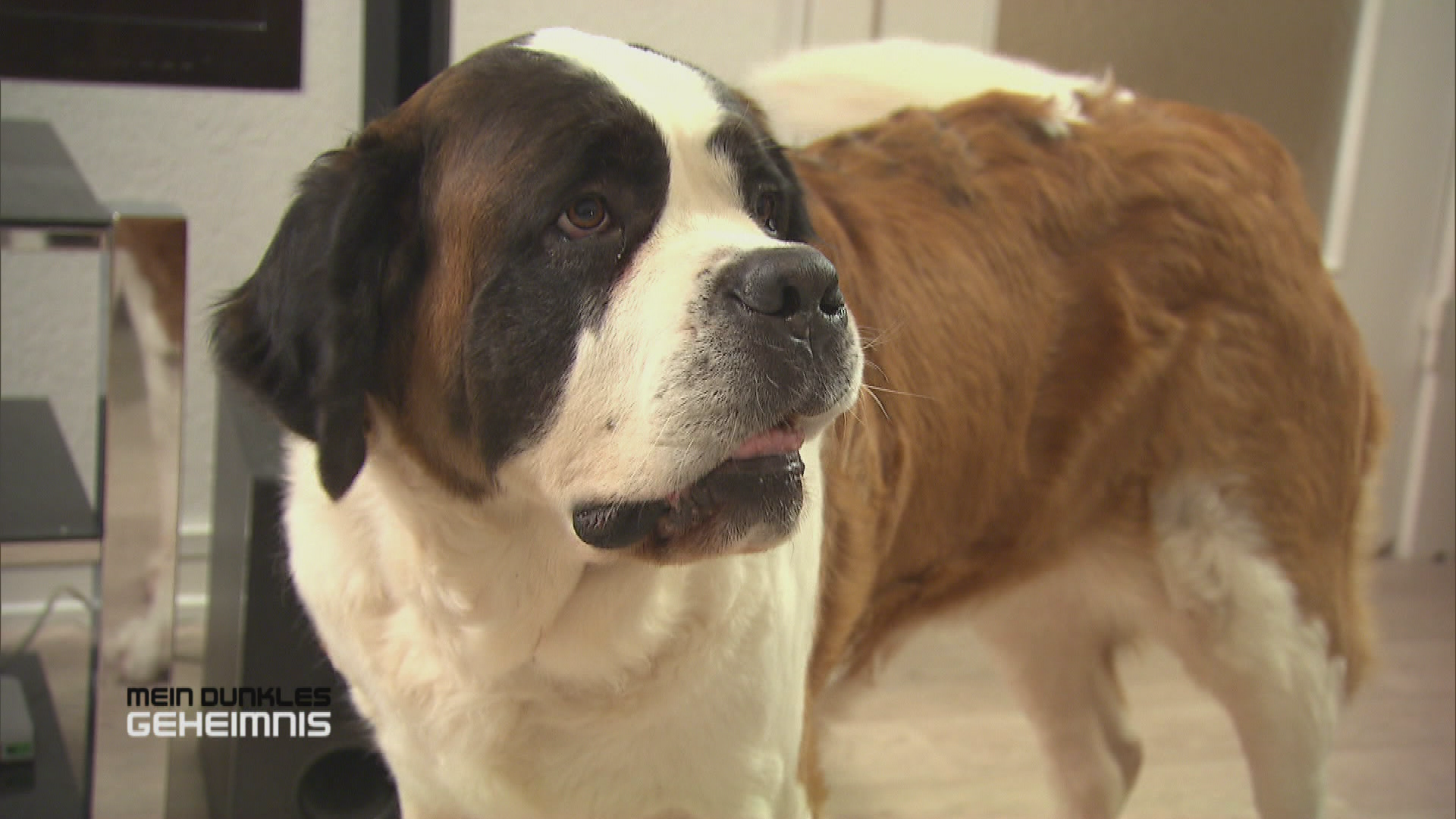 Der richtige Riecher