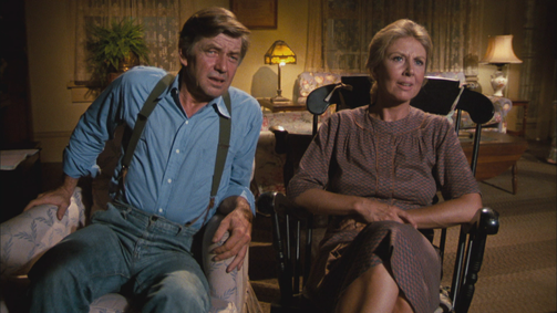 Die Waltons WALTONS, DIE - 07 Folge 6: Elizabeths Poltergeist